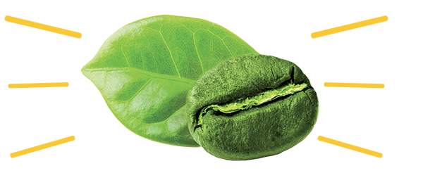 Grains de Café vert