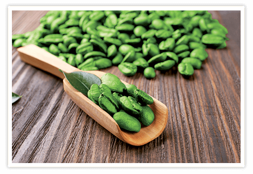 Schéma Action Café Vert