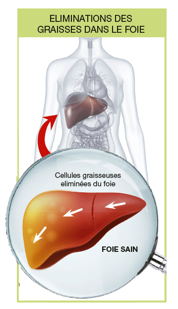 Élimination des graisses